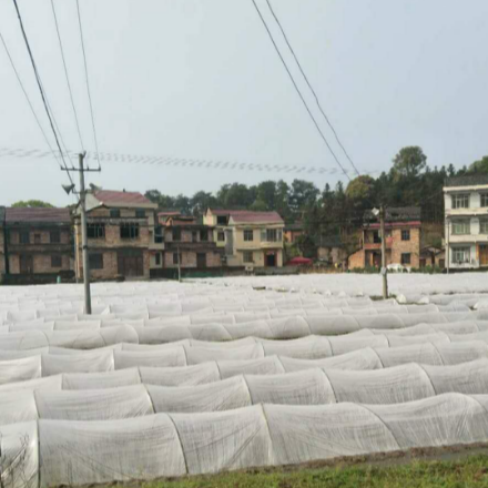 茶陵县湖口镇：抓好春耕生产，确保粮食安全