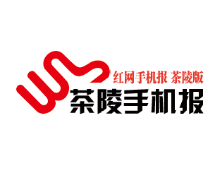3月31日茶陵手机报