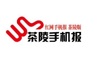4月3日茶陵手机报