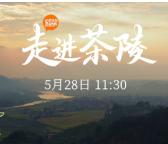 【直播】今天11:30四位县领导为茶陵农产品直播“带货”,快来围观!