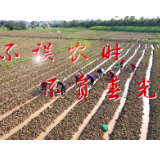 不误农时 心归沃土绘新畴