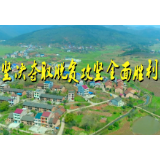 谭志慧：脱贫要靠撸袖干  致富不忘帮乡邻