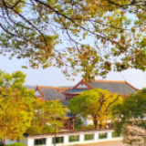 线上教学：出实招 一个都不能少 花样教 学生兴趣高