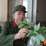 【退役军人风采展】李志平：战场英雄  助农模范