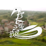 【微电影】长鸭之鹅