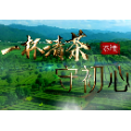 【茶陵清廉文化建设作品展播】一杯清茶守初心