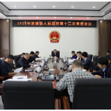 茶陵县政府召开2020年第12次常务会议