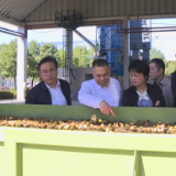 省林业局一行到红星盛康油脂公司考察调研