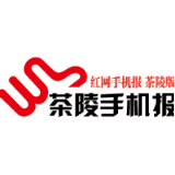 3月25日茶陵手机报