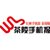 3月27日茶陵手机报
