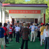 茶陵县“商粮杯”老年门球赛举行