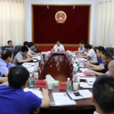全县自然资源重点工作调度推进会议召开