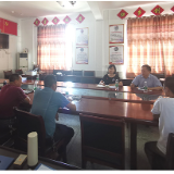 【巩固脱贫攻坚成果】刘蕾到枣市镇洒水村调研指导脱贫攻坚工作