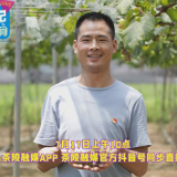 第一书记直播间走进虎踞二仙
