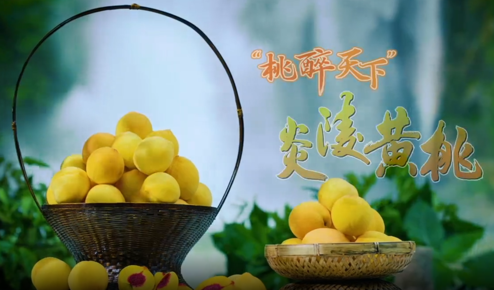 炎陵黄桃公益广告