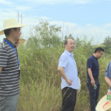 王友文调研指导茶陵职专新校区建设项目