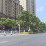 【城市靓起来】城区市容市貌提质“百日攻坚”专项整治行动取得阶段性成效