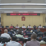 茶陵县第十七届人大常委会第二十七次会议召开