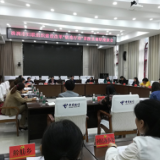 株洲市妇联组织建设改革“破难行动”座谈会召开