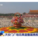 北京天安门广场花果篮整装亮相 游客纷纷拍照留念