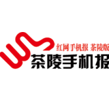 3月29日茶陵手机报