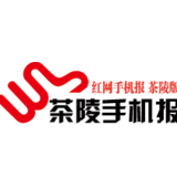 4月1日茶陵手机报