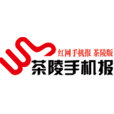 3月31日茶陵手机报