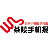 3月30日茶陵手机报