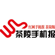 4月29日茶陵手机报