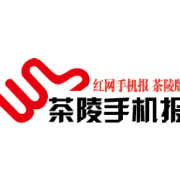5月31日茶陵手机报