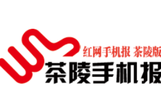 6月3日茶陵手机报