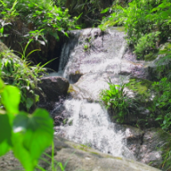 火田镇墨龙村：避暑纳凉好去处