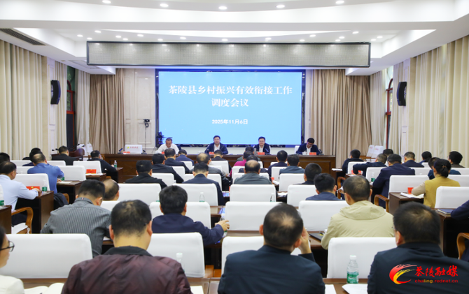 杨红兵调度乡村振兴工作 强调：要全力推动巩固拓展脱贫攻坚成果同乡村振兴有效衔接工作提质增效