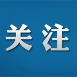 株洲仲裁委员会仲裁规则 | 第九章  简易程序