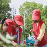 研学课堂进茶园 茶乡学子匠心传