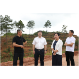 杨红兵到舲舫乡调研