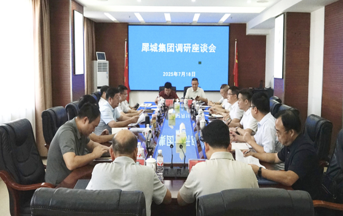 杨红兵调研犀城集团发展情况 强调：深化改革创新 彰显集团担当