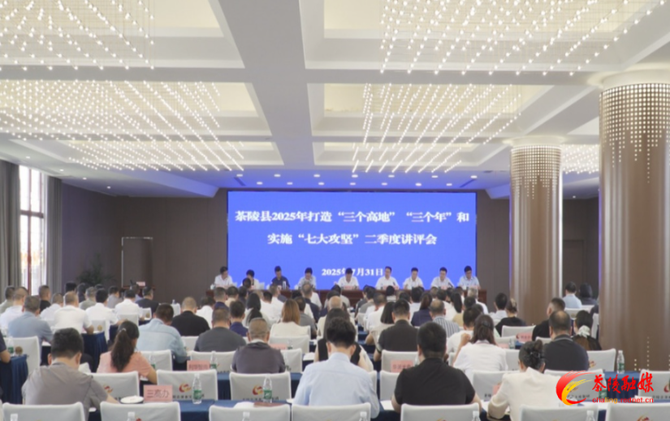 茶陵县2025年打造“三个高地”“三个年”和实施“七大攻坚”二季度讲评会召开