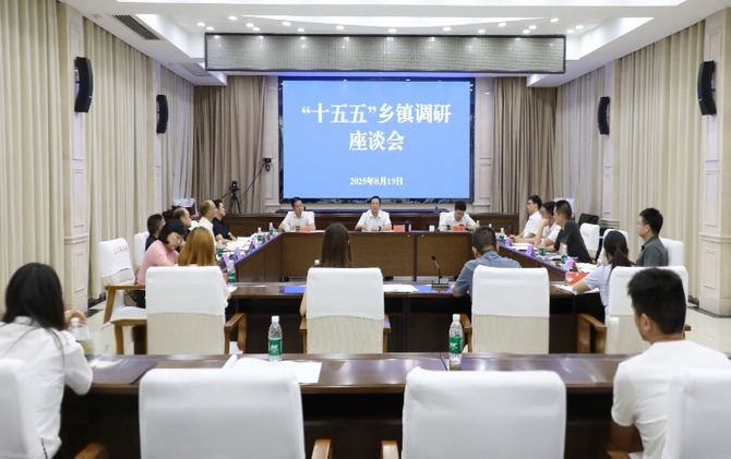 茶陵县召开“十五五”乡镇调研座谈会