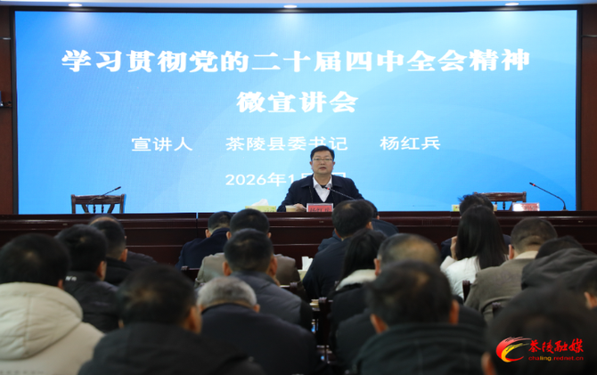 杨红兵到严塘镇开展学习贯彻党的二十届四中全会精神微宣讲