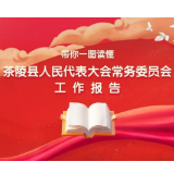 一图速览！茶陵县人民代表大会常务委员会工作报告