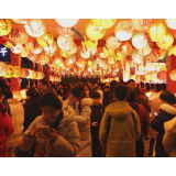 龙马精神启新岁 茶陵元宵喜乐浓