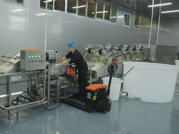 【画卷•乡村振兴】告别“靠天吃饭” 永光食品解锁伏蒜加工新模式