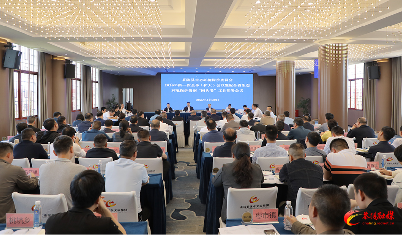杨红兵主持召开茶陵县生态环境保护委员会2026年第一次全体（扩大）会议暨配合省环保督察“回头看”工作部署会