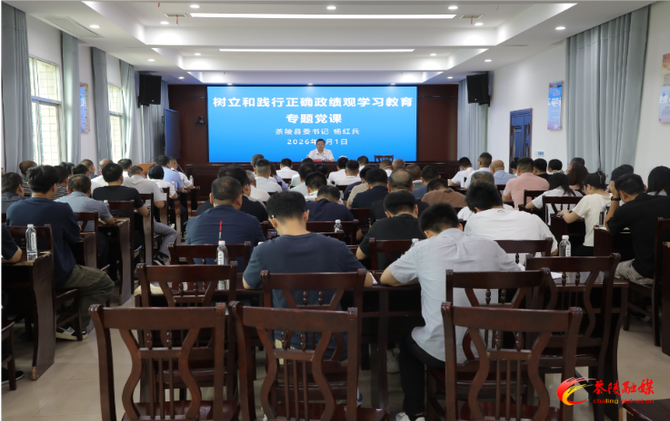 杨红兵到严塘镇调研并讲党课
