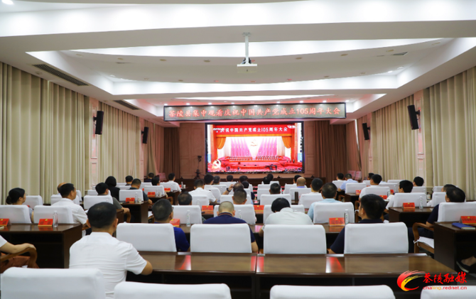 茶陵县集中观看庆祝中国共产党成立105周年大会