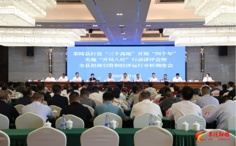 杨红兵：聚焦重点靶向攻坚 全力以赴完成全年各项目标任务