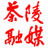 【株洲新闻联播】茶陵：湖南贝森有机硅项目开工