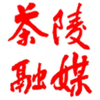 【株洲新闻联播】茶陵：助力退役军人就业 举行专场招聘会