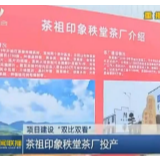 【株洲新闻联播】茶祖印象秩堂茶厂投产
